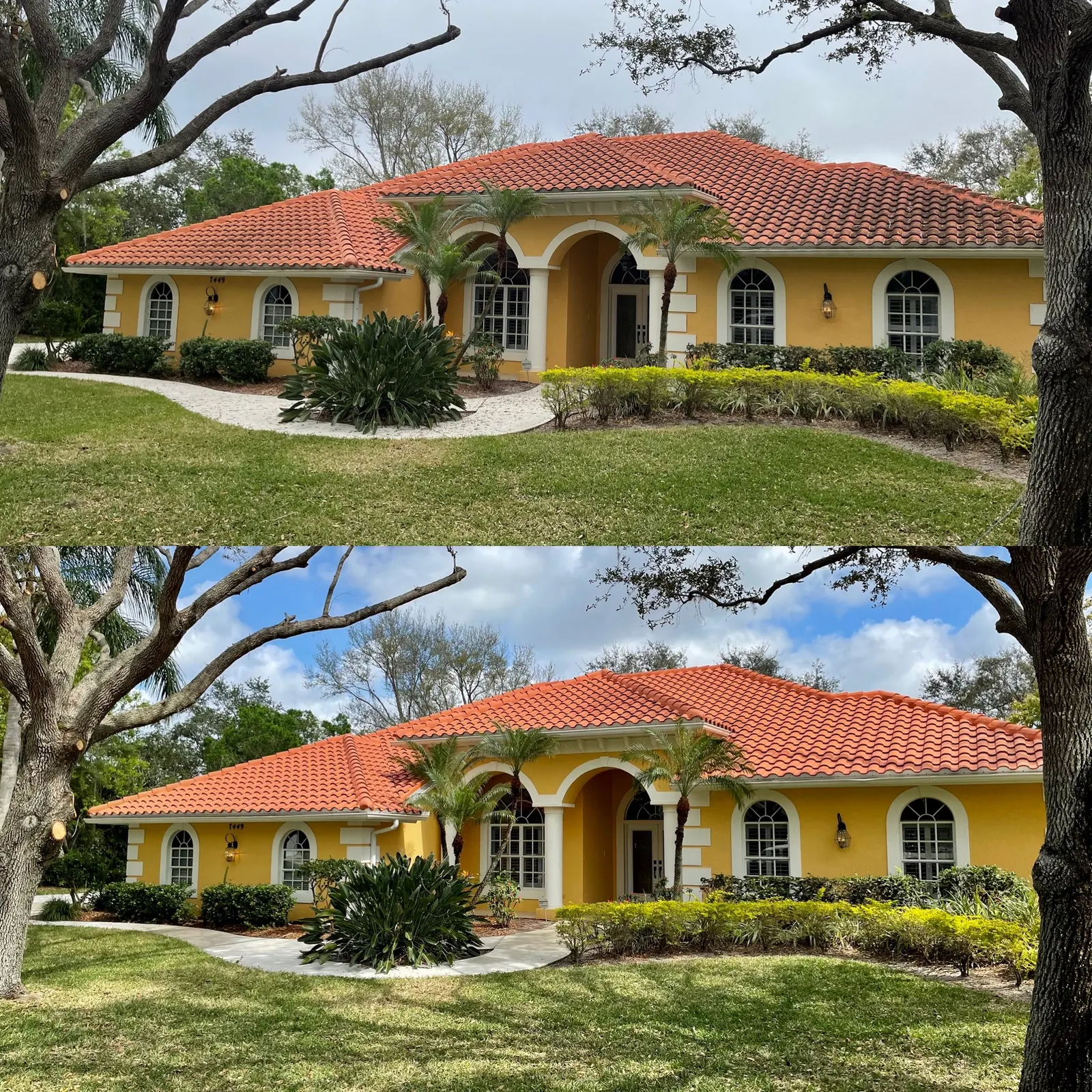 Residential roof soft wash in Palmer Ranch