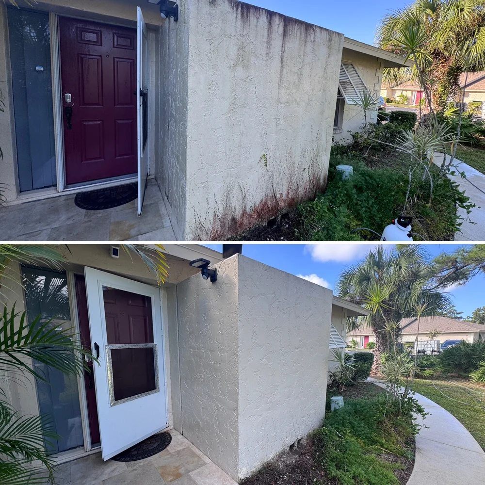 House and front entry soft washed in Bradenton before and after
