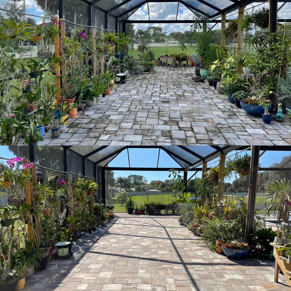 Pool enclosure screen and frame cleaned on a Sarasota home