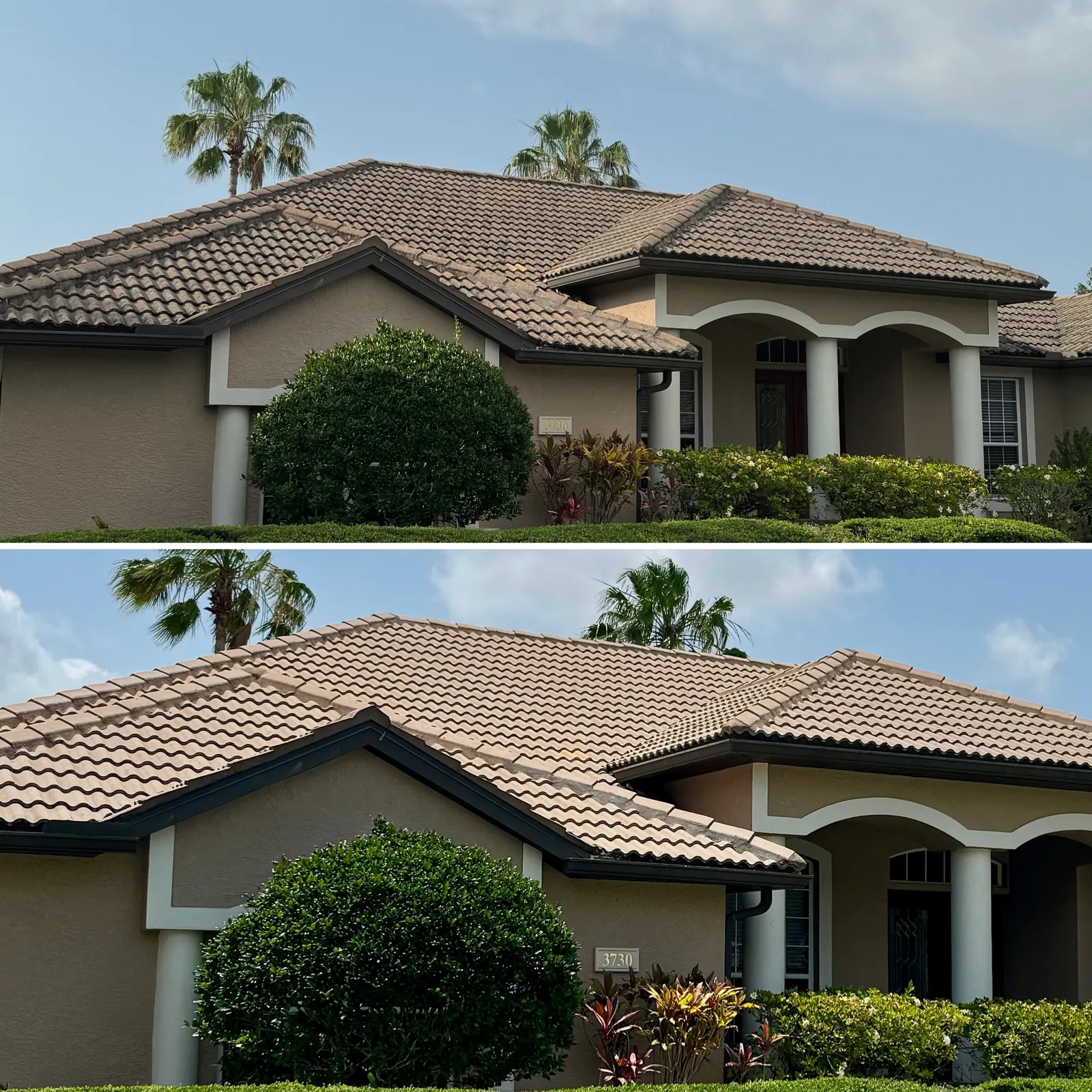 Clay tile roof before and after soft wash in Sarasota